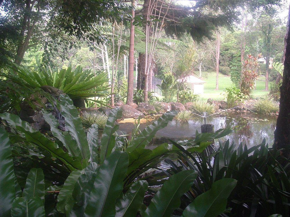 Bendles Cottages เมลเลนี ภายนอก รูปภาพ